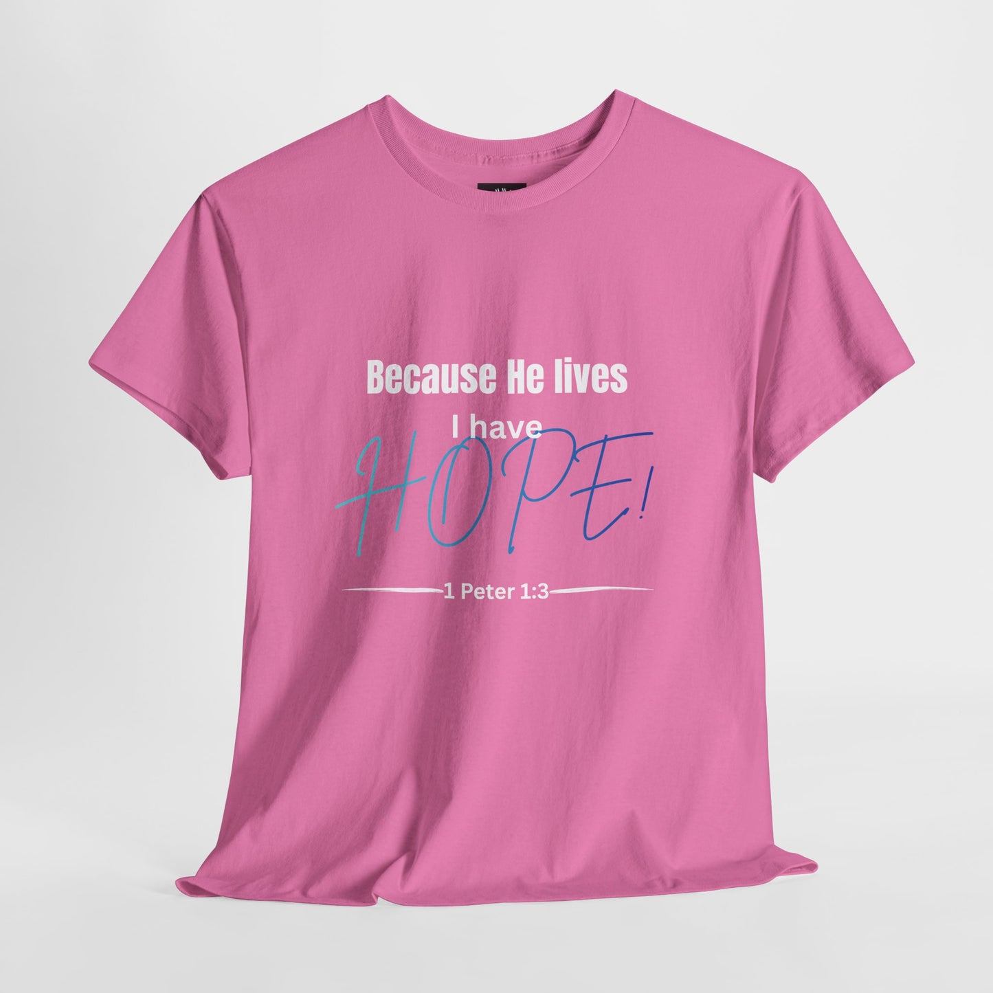 *Spring special edition* Because He Lives I Have Hope T-Shirt — 1 Peter 1:3 Christian Faith Tee