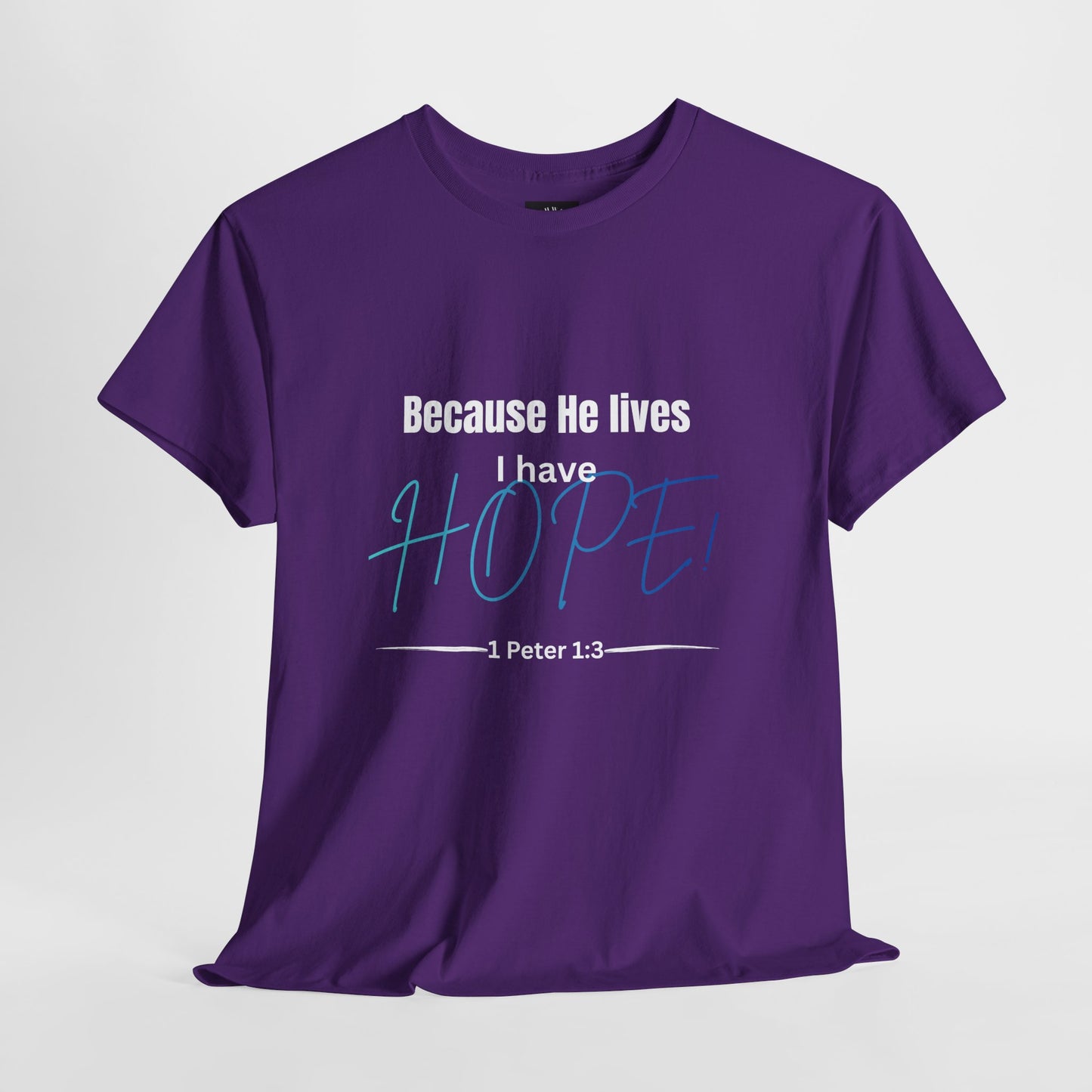 *Spring special edition* Because He Lives I Have Hope T-Shirt — 1 Peter 1:3 Christian Faith Tee