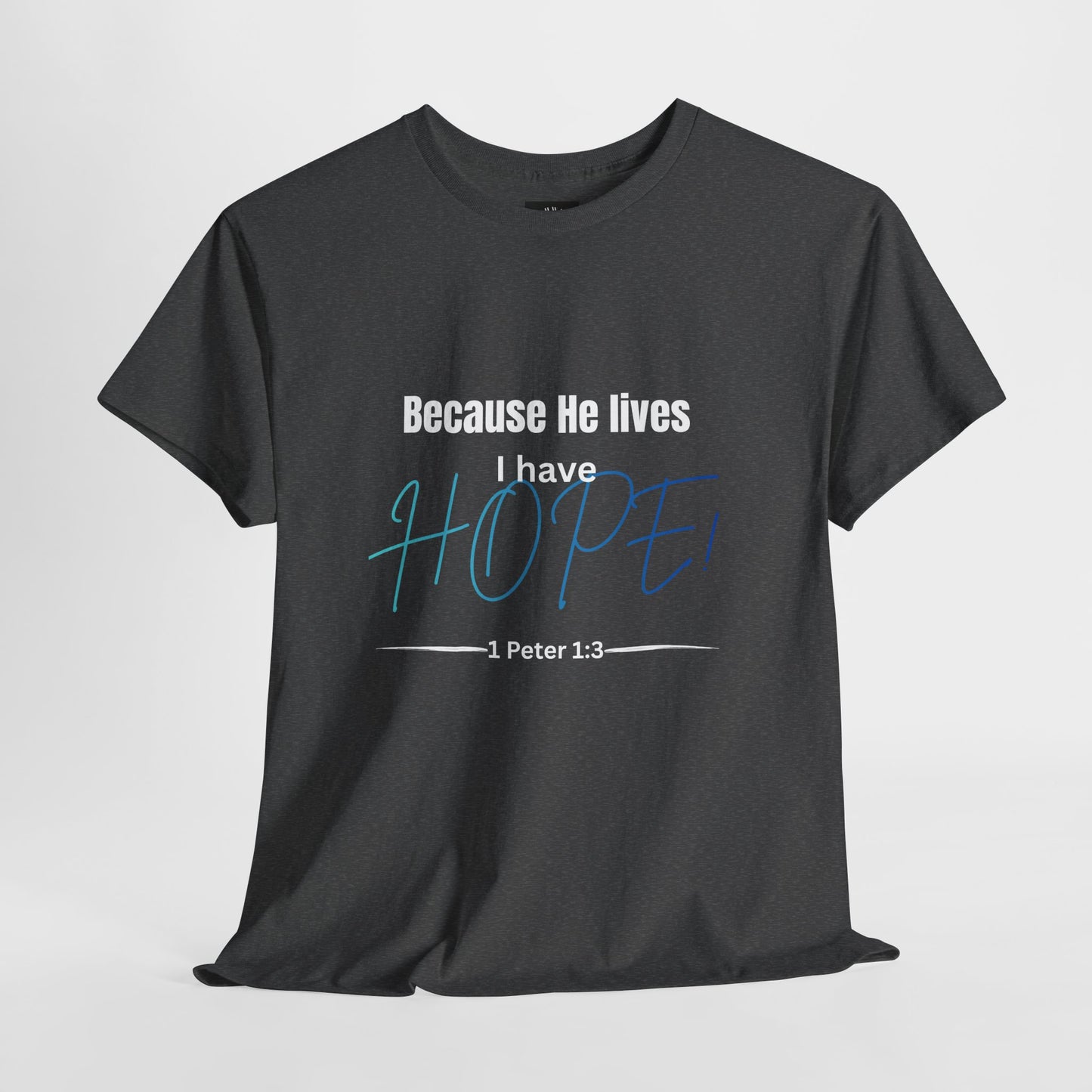 *Spring special edition* Because He Lives I Have Hope T-Shirt — 1 Peter 1:3 Christian Faith Tee